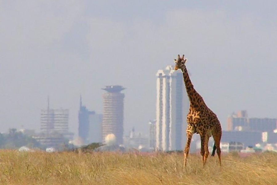 Nairobi national park