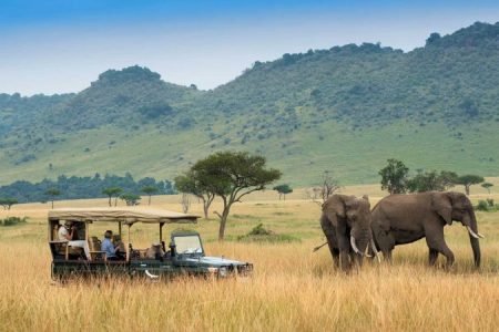 Maasai Mara, Nakuru and Naivasha